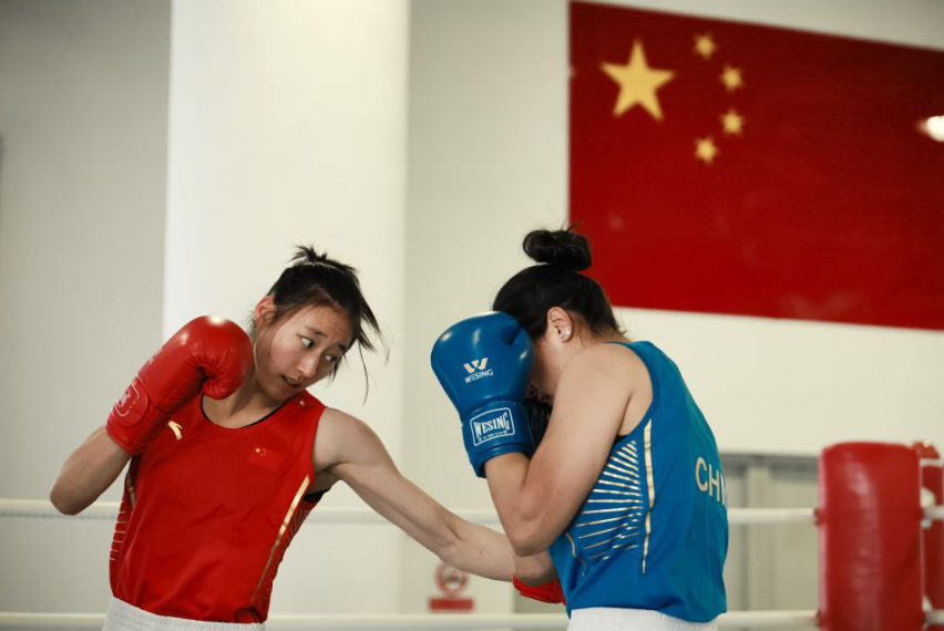 问鼎之路：追寻成功的秘诀